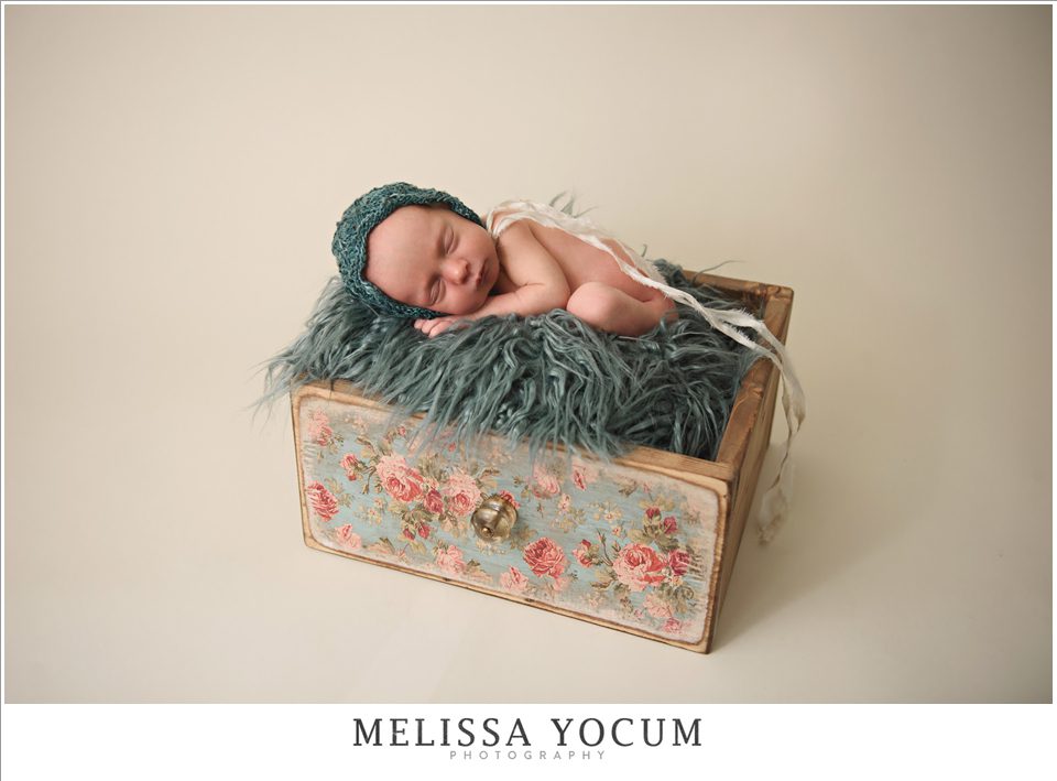 Castle Rock Newborn Photographer baby box