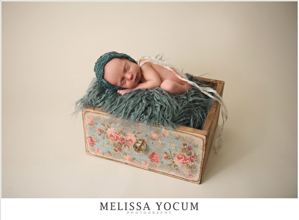 Castle Rock Newborn Photographer baby box