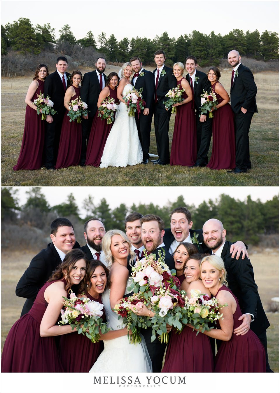 flying horse ranch wedding party